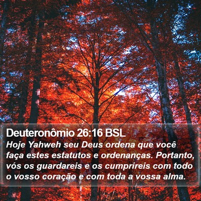 Deuteronômio 26:16 BSL Bible Verse Image