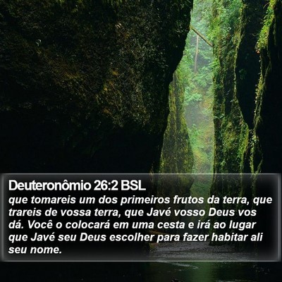 Deuteronômio 26:2 BSL Bible Verse Image