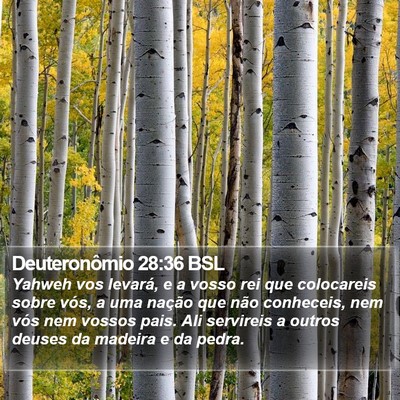 Deuteronômio 28:36 BSL Bible Verse Image