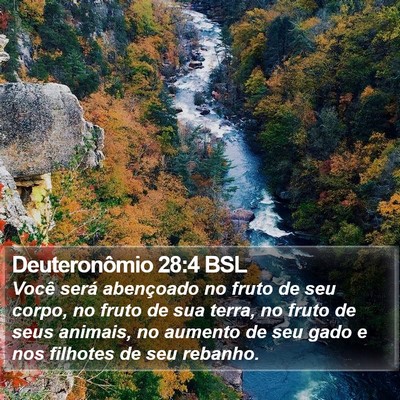 Deuteronômio 28:4 BSL Bible Verse Image