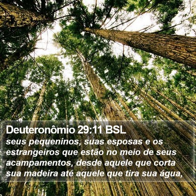 Deuteronômio 29:11 BSL Bible Verse Image