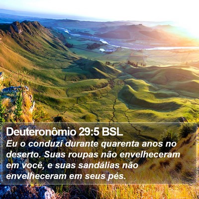 Deuteronômio 29:5 BSL Bible Verse Image