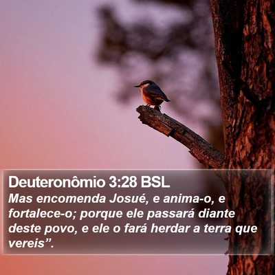 Deuteronômio 3:28 BSL Bible Verse Image