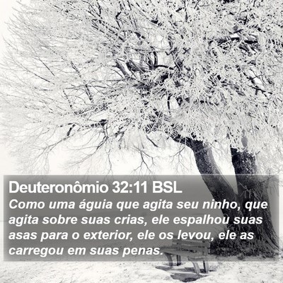 Deuteronômio 32:11 BSL Bible Verse Image