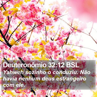 Deuteronômio 32:12 BSL Bible Verse Image