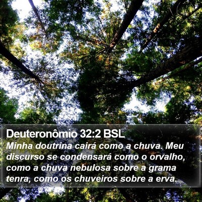 Deuteronômio 32:2 BSL Bible Verse Image