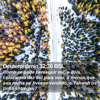 Deuteronômio 32:30 BSL Bible Verse Image