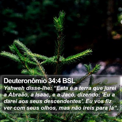 Deuteronômio 34:4 BSL Bible Verse Image