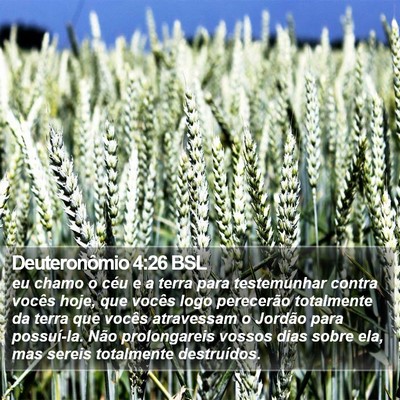 Deuteronômio 4:26 BSL Bible Verse Image
