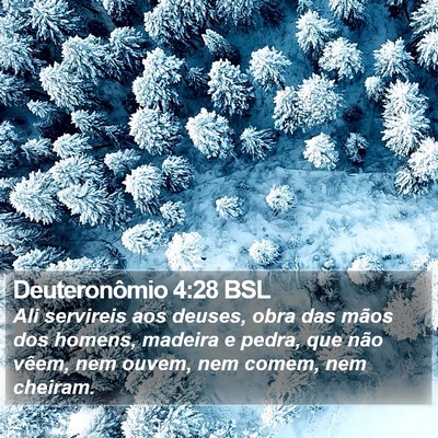 Deuteronômio 4:28 BSL Bible Verse Image
