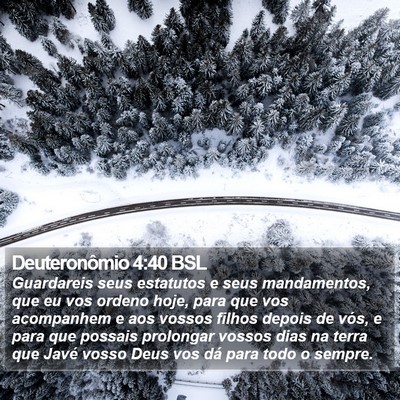 Deuteronômio 4:40 BSL Bible Verse Image
