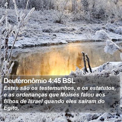 Deuteronômio 4:45 BSL Bible Verse Image