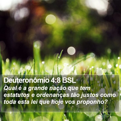 Deuteronômio 4:8 BSL Bible Verse Image