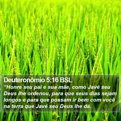 Deuteronômio 5:16 BSL Bible Verse Image