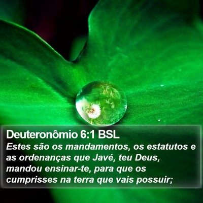 Deuteronômio 6:1 BSL Bible Verse Image