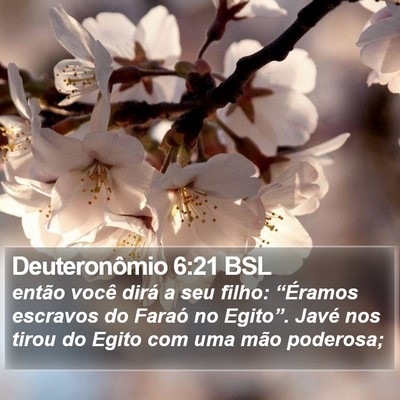 Deuteronômio 6:21 BSL Bible Verse Image