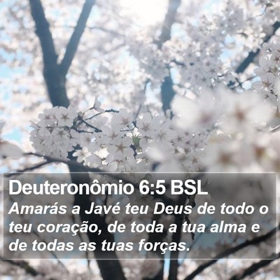 Deuteronômio 6:5 BSL Bible Verse Image