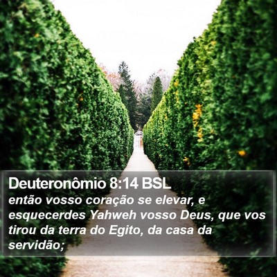 Deuteronômio 8:14 BSL Bible Verse Image