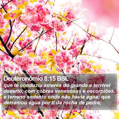 Deuteronômio 8:15 BSL Bible Verse Image