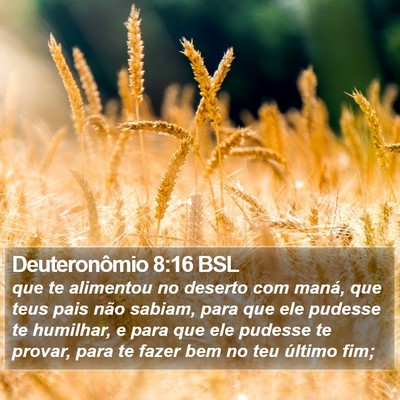 Deuteronômio 8:16 BSL Bible Verse Image