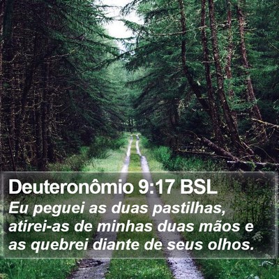 Deuteronômio 9:17 BSL Bible Verse Image