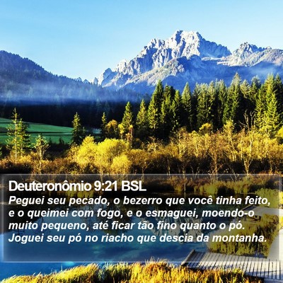 Deuteronômio 9:21 BSL Bible Verse Image
