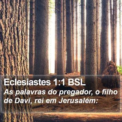 Eclesiastes 1:1 BSL Bible Verse Image