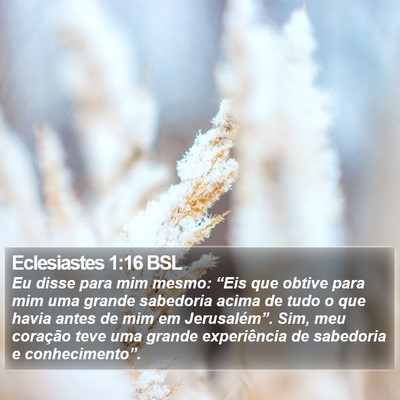 Eclesiastes 1:16 BSL Bible Verse Image