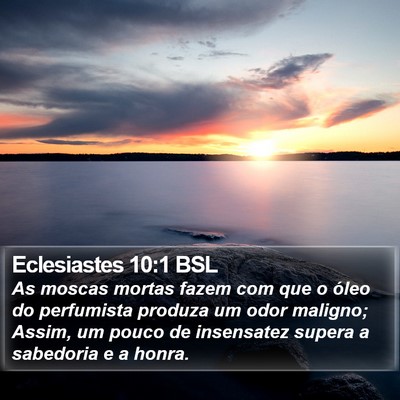 Eclesiastes 10:1 BSL Bible Verse Image