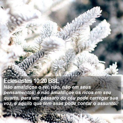 Eclesiastes 10:20 BSL Bible Verse Image