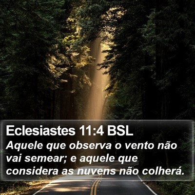 Eclesiastes 11:4 BSL Bible Verse Image