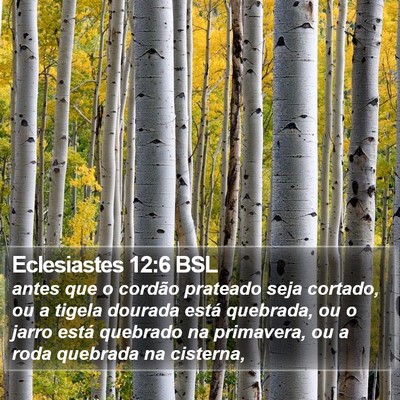 Eclesiastes 12:6 BSL Bible Verse Image