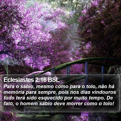 Eclesiastes 2:16 BSL Bible Verse Image