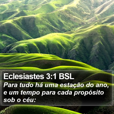 Eclesiastes 3:1 BSL Bible Verse Image