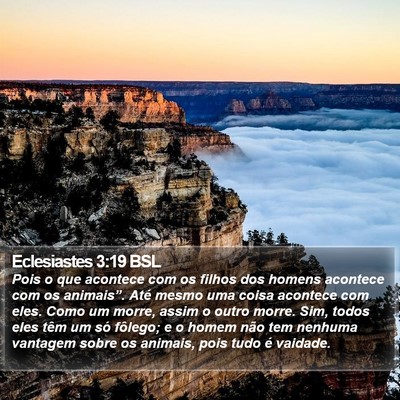 Eclesiastes 3:19 BSL Bible Verse Image