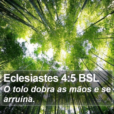 Eclesiastes 4:5 BSL Bible Verse Image