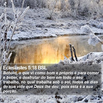 Eclesiastes 5:18 BSL Bible Verse Image