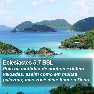Eclesiastes 5:7 BSL Bible Verse Image