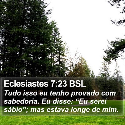 Eclesiastes 7:23 BSL Bible Verse Image