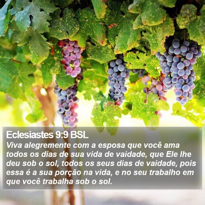 Eclesiastes 9:9 BSL Bible Verse Image
