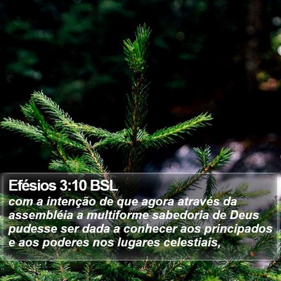 Efésios 3:10 BSL Bible Verse Image
