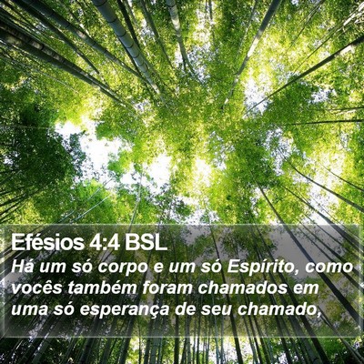Efésios 4:4 BSL Bible Verse Image