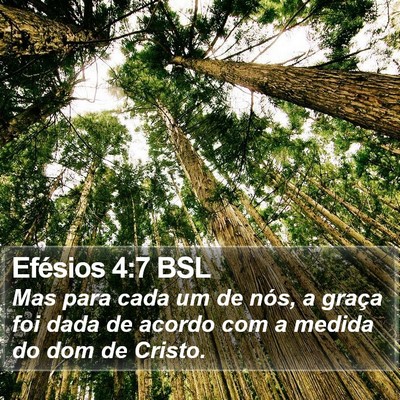 Efésios 4:7 BSL Bible Verse Image