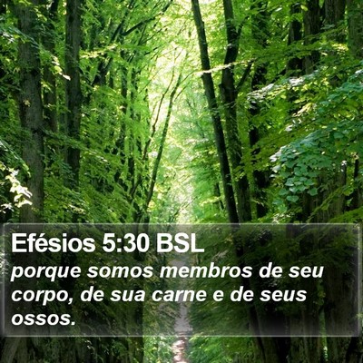 Efésios 5:30 BSL Bible Verse Image