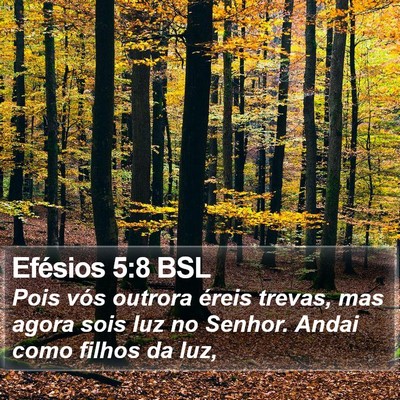 Efésios 5:8 BSL Bible Verse Image