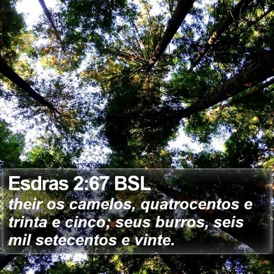Esdras 2:67 BSL Bible Verse Image