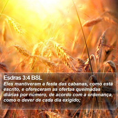 Esdras 3:4 BSL Bible Verse Image