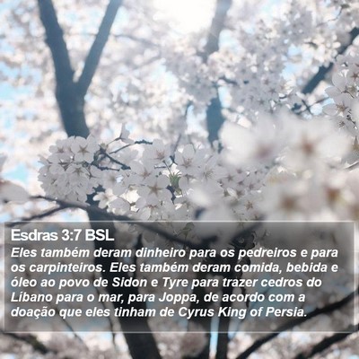 Esdras 3:7 BSL Bible Verse Image