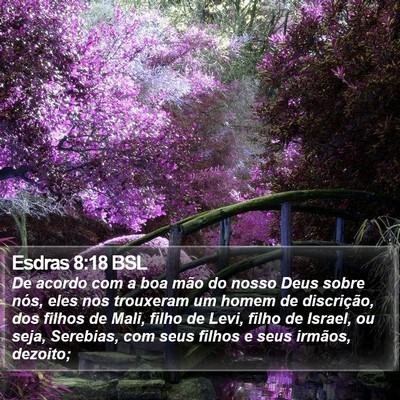 Esdras 8:18 BSL Bible Verse Image