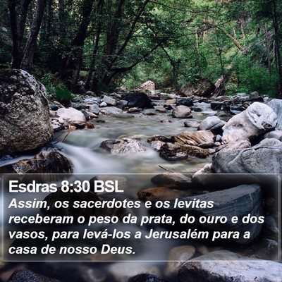 Esdras 8:30 BSL Bible Verse Image